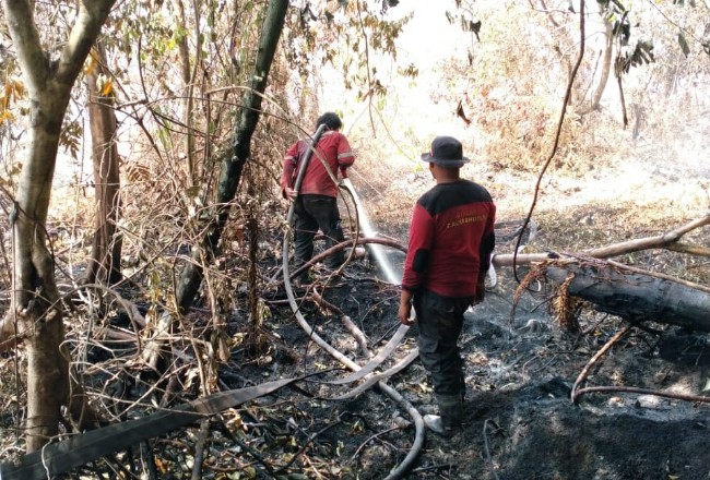 Tim Fire Fighter PT RAPP (APRIL Group) sedang melakukan pemadaman karhutla baru-baru ini, di daerah Kampung Baru, Teluk Lanus, Kecamatan Sungai Apit, Kabupaten Siak.